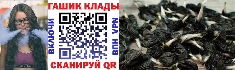 купить   Тайшет  ГАШИШ Ice-O-Lator 